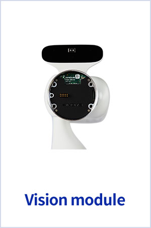 Vision module